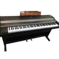 Đàn piano điện Kawai PW-2000